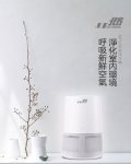 北方 USB負離子空氣清淨機 AP03