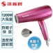 達新牌 TS-2390 / 2380 負離子專業吹風機